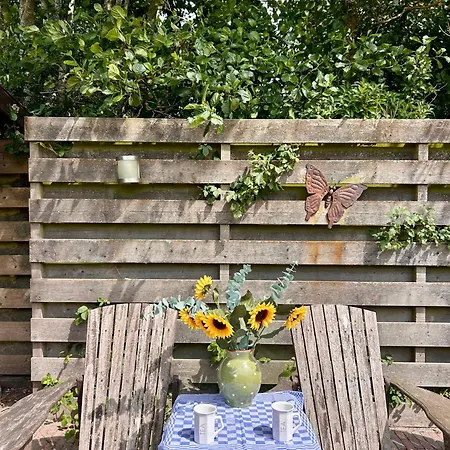 Zonnedael * 朱丽安娜多普