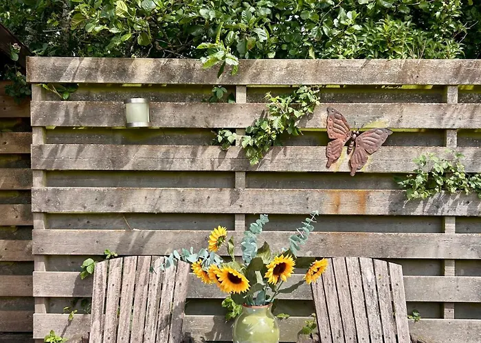 Zonnedael * Julianadorp